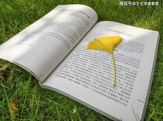 노을 tweet media
