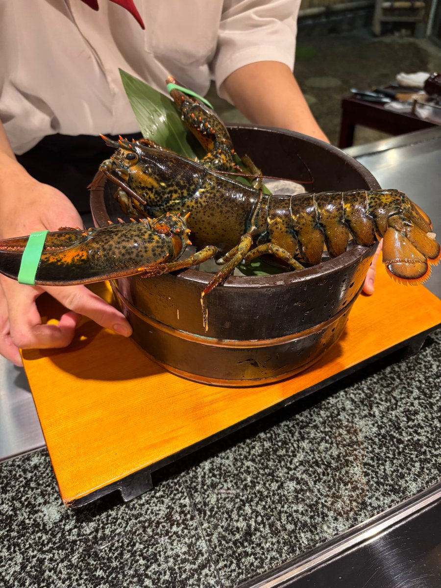 デベロゴン tweet media