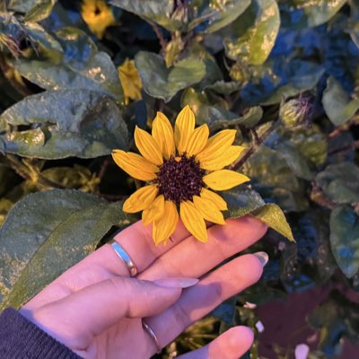 cidinthewild's tweet photo. #NewProfilePic https://t.co/zYQi5grUxv