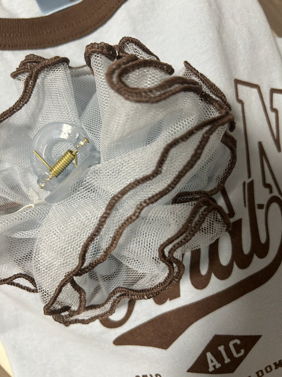 or101jam's tweet photo. EIENぽいと思って昨日買ったヘアクリップ、まじで色一緒だった笑 https://t.co/mrX7cXl5Kc