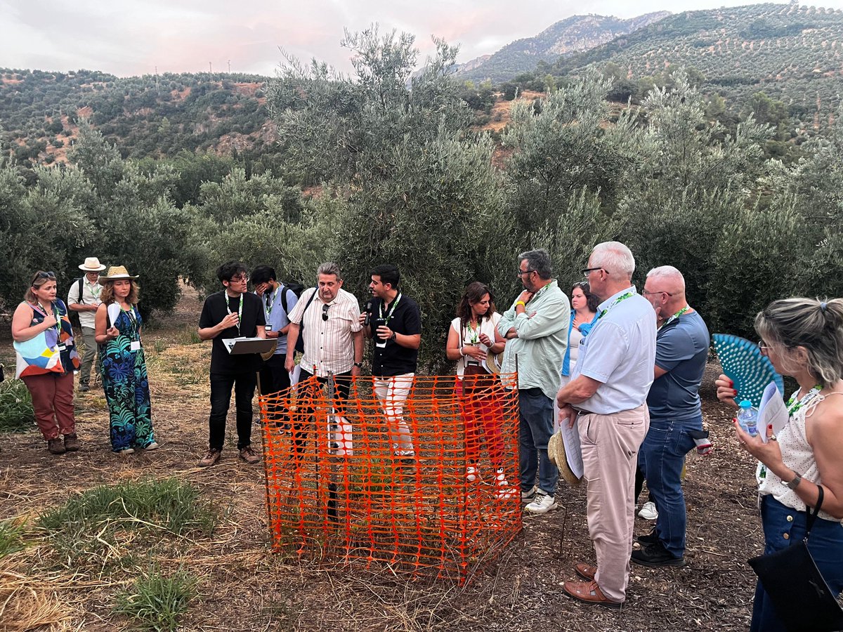 ujaen's tweet photo. 🌱 La UJA clausura el encuentro internacional del proyecto europeo #LivingSoiLL tras reunir a más de 100 investigadores de 49 entidades europeas para avanzar en soluciones que mejoren la salud de los suelos agrícolas y la sostenibilidad del olivar. 🌍🚜 https://t.co/QmBHlGw2up