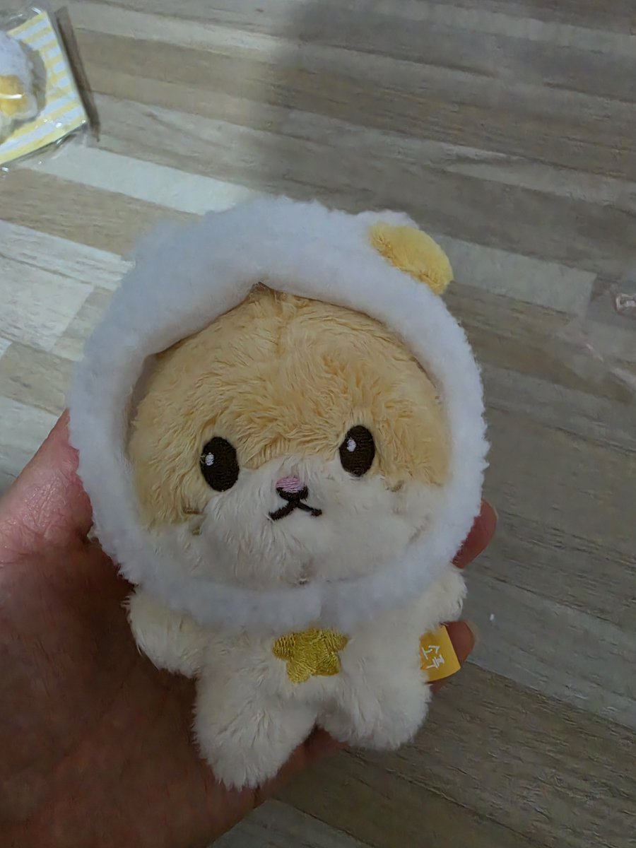 ysyj0715's tweet photo. 양요섭 인형키링 소푸 원가 양도

급한 마음에 장바구니에 두개 담은걸 알고도 결제를 해버려서 양도합니다

인형+모자+포카 세트 35,000원

편의점 (주말 접수) 2,000원
우체국 (월요일 접수) 4,000원

Dm 잘 못 봐요. 카톡 주세요!
https://t.co/5SyJNNj2Us

#하이라이트 #양요섭 #소푸 #양요섭인형 https://t.co/OxFBHwLlw4