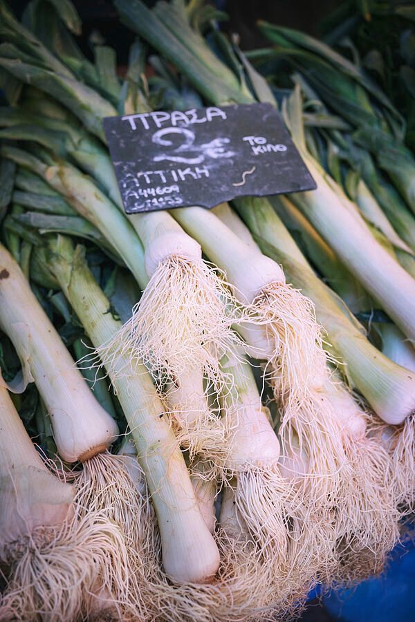 joancarroll's tweet photo. Fresh Leeks at Market Stall in Greece! https://t.co/Qt83wmGrNE #leeks #greece #market #vegetables #food #fresh #marketstall #nafplio #buyart #wallart #artforsale #artstore #travel #travelphotography #wallartforsale #giftideas @joancarroll https://t.co/Jl6rIReoZr