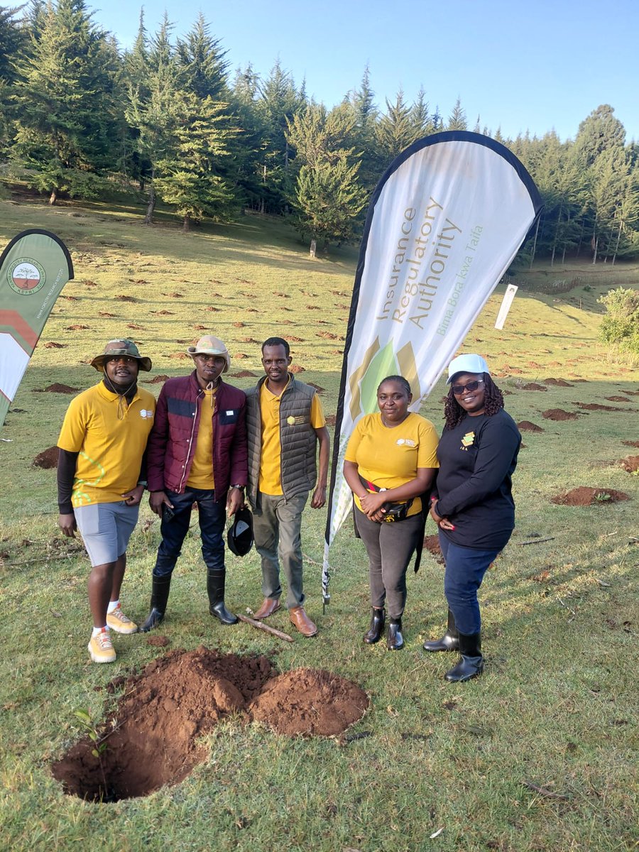 ira_kenya's tweet photo. This is part of IRA's commitment to Environment, Social and Governance (ESG) principles and a contribution to Kenya's target of 15 billion trees by 2032.

Together for a greener and more resilient Kenya.

#ClimateAction #ESG #15BillionTrees
#KaptagatInitiative #GreeningKenya https://t.co/l4CaX6f2KW