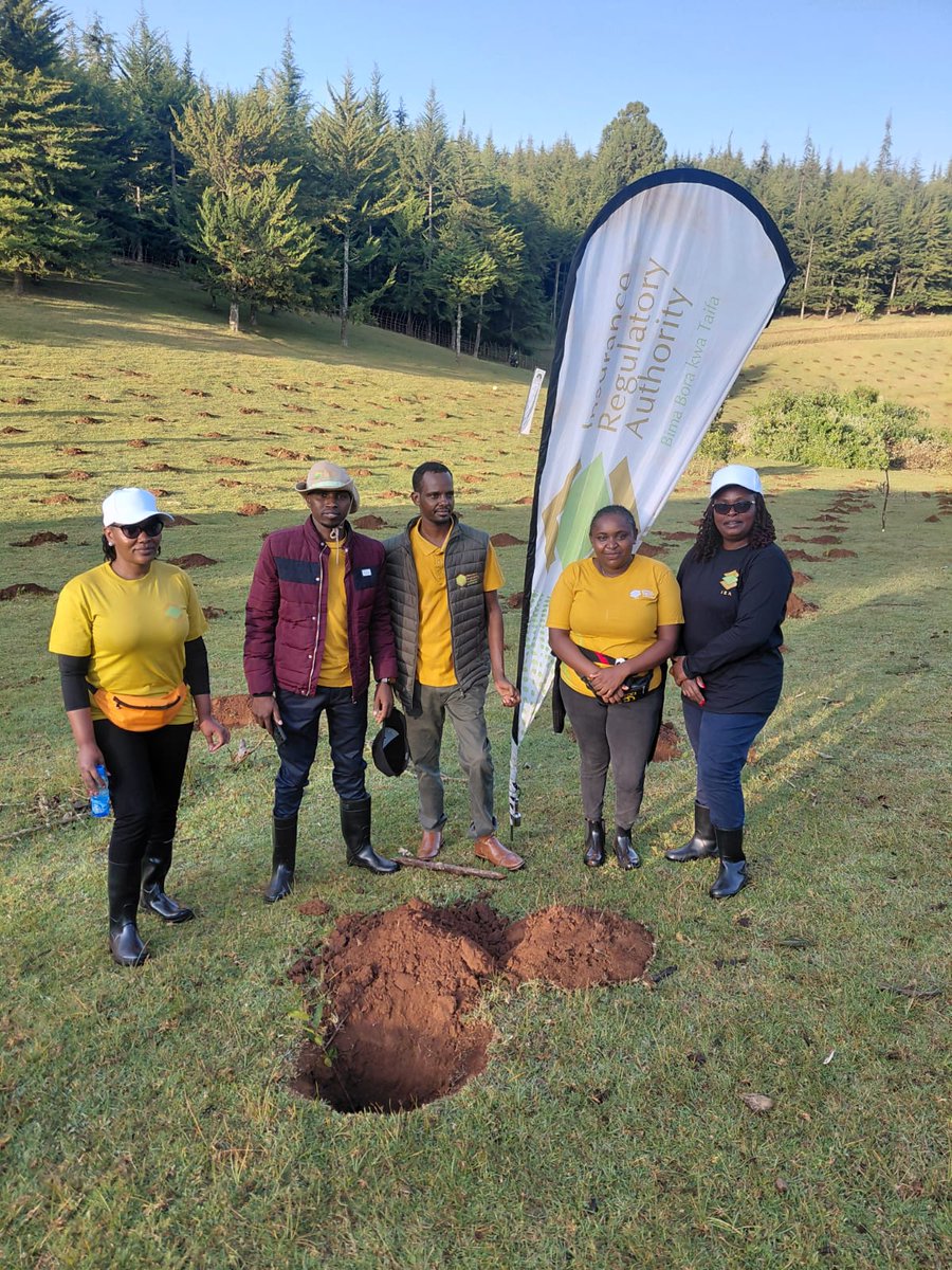 ira_kenya's tweet photo. This is part of IRA's commitment to Environment, Social and Governance (ESG) principles and a contribution to Kenya's target of 15 billion trees by 2032.

Together for a greener and more resilient Kenya.

#ClimateAction #ESG #15BillionTrees
#KaptagatInitiative #GreeningKenya https://t.co/l4CaX6f2KW
