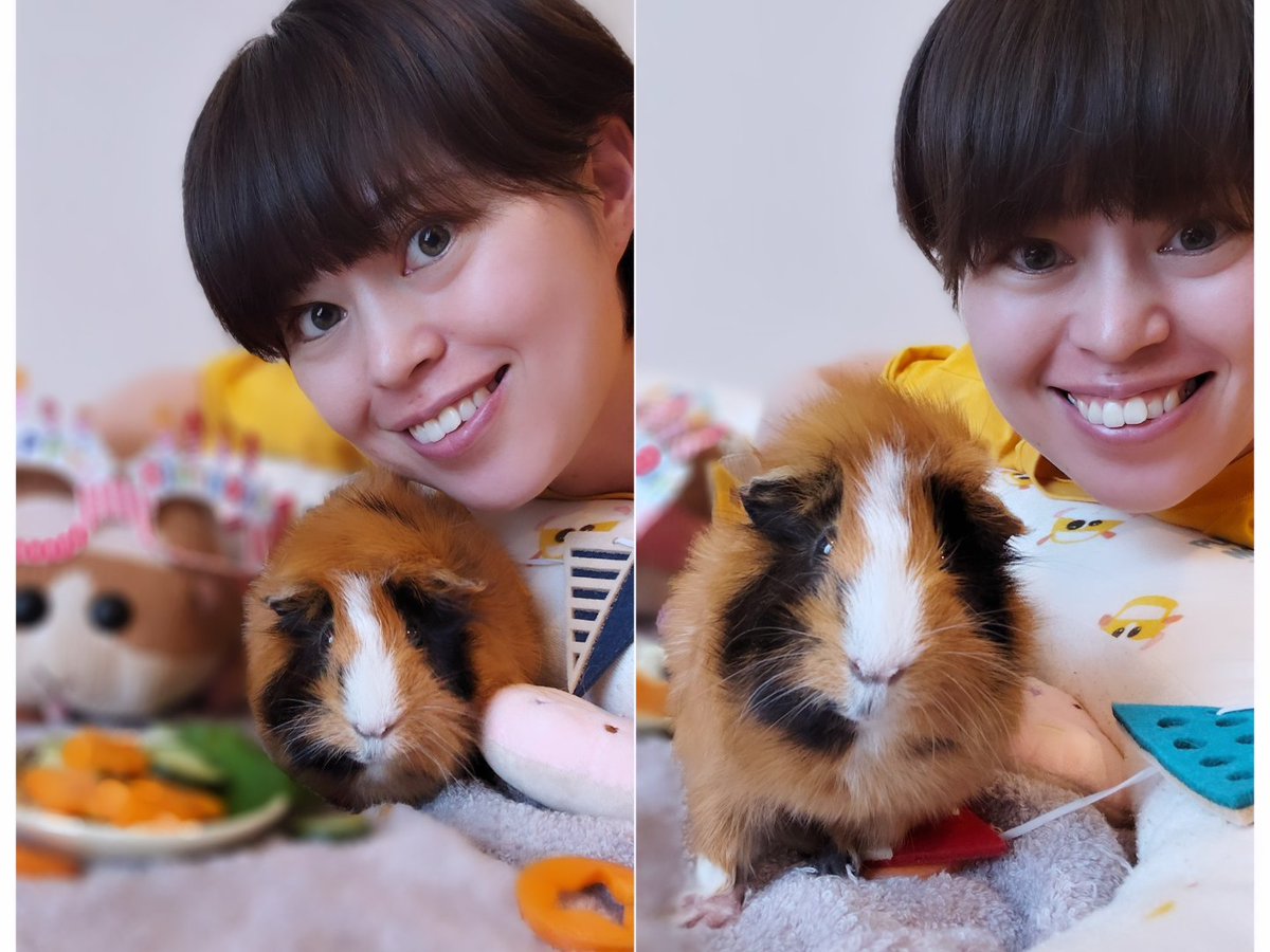 bobu_player's tweet photo. 2026/7/10  福之介Birthday🍰
5才になりました🐹
ベビーフェイスのおじいちゃん
楽しく健やかに長生きしようね🫶 https://t.co/cBgzKiaFF9