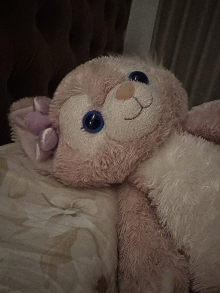 ptjkhlg's tweet photo. Good Morning Little Bear https://t.co/A2wSprOrew