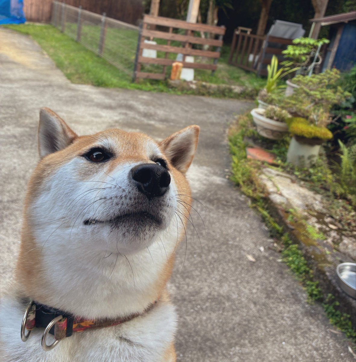 MASAharehare's tweet photo. 明日はお休みですねー https://t.co/aaj3QMpzCx
