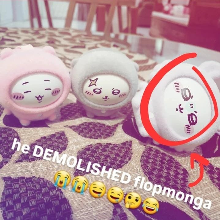 hoveries's tweet photo. my chiikawa blindbox arrived https://t.co/Ye8YFjCr53