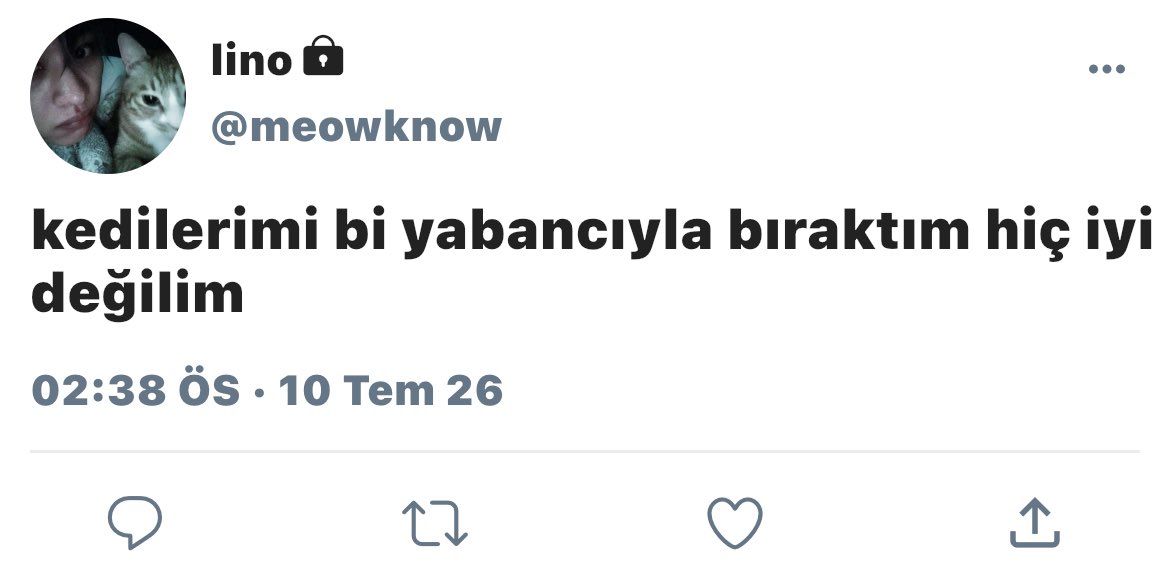 hyunsrha's tweet photo. #minsung - au

catsitter

Minho şehir dışına çıkması gerektiği için kedilerine bakacak birisini arar. https://t.co/S9tSUpNAAE