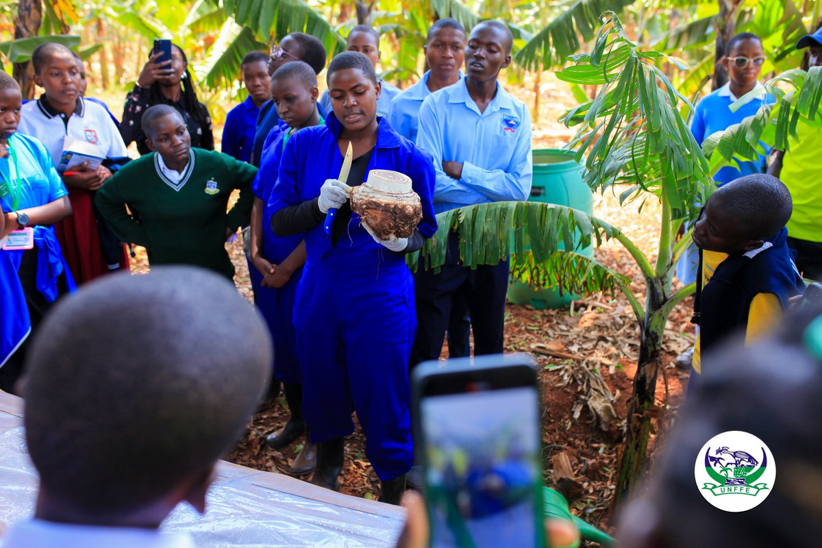 FDTVmedia's tweet photo. Schools are showcasing innovative projects and practical solutions during 5th #AgricEducShow26.
11th July is the last day.
Entry is only UGX 5,000
Come, learn, explore, Connect and celebrate the next generation of agricultural innovators with young farmers 
@unffe @Educ_SportsUg https://t.co/FL52GtBV6I