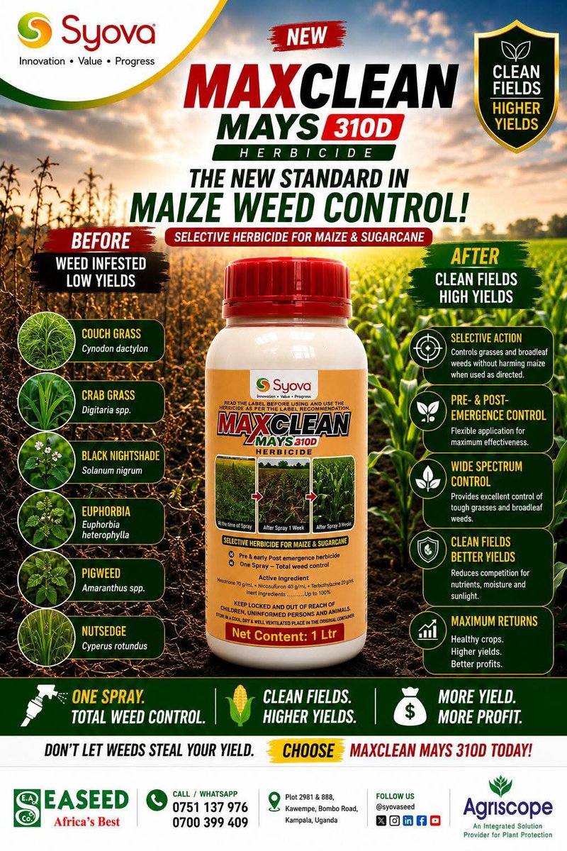 a_syova's tweet photo. 🌽 Weeds compete with your maize for nutrients, moisture &amp; sunlight.

Take back your yield with MAXCLEAN MAYS 310D.

✅ Selective Herbicide for Maize
✅ Broad Spectrum Weed Control
✅ Clean Fields
✅ Higher Yields

📞 0751 137 976 | 0700 399 409

#MAXCLEANMAYS310D https://t.co/ie92HRjQEb