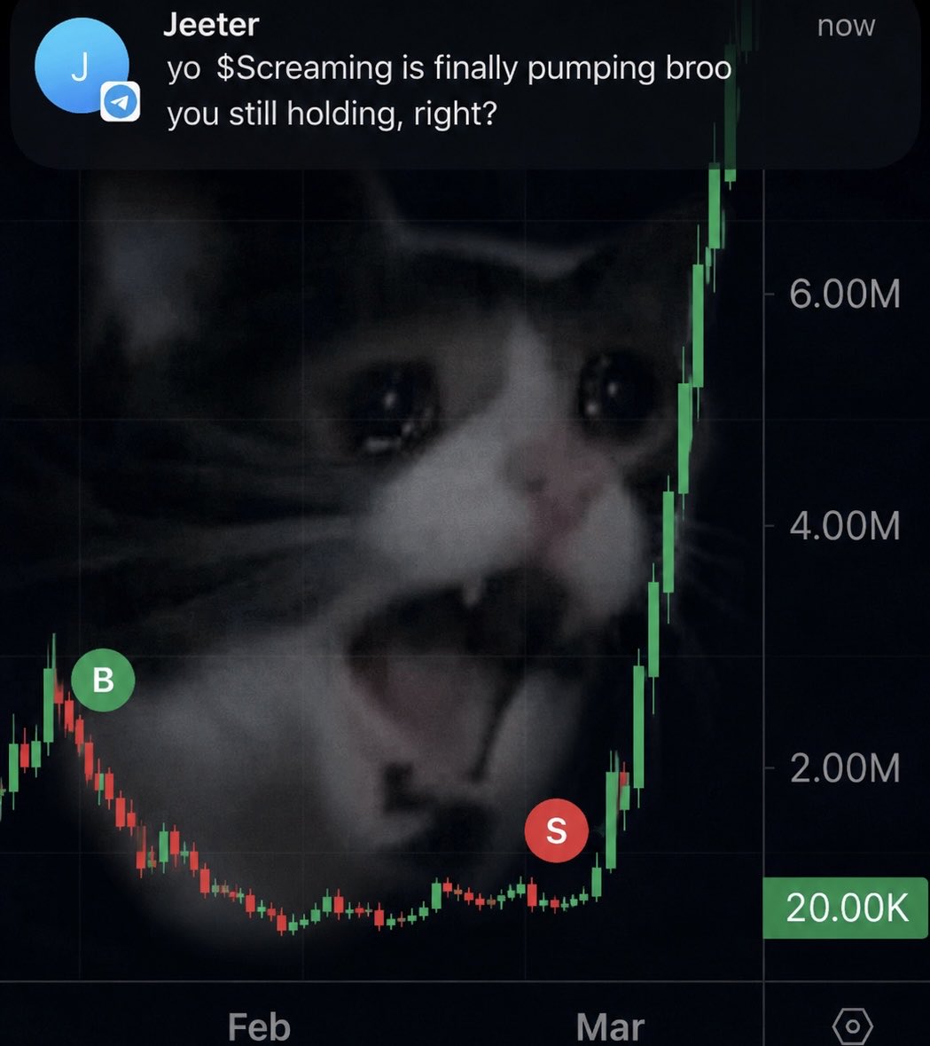 ScreamingCatPF's tweet photo. accurate https://t.co/GKZMDBbI4I
