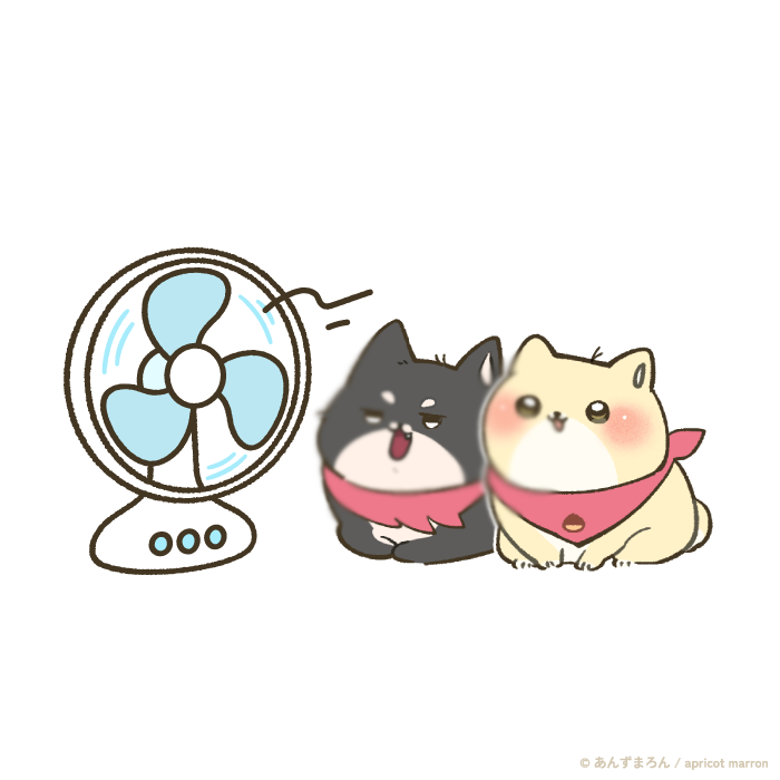 Post by まろとあんこ on X: 🌪️