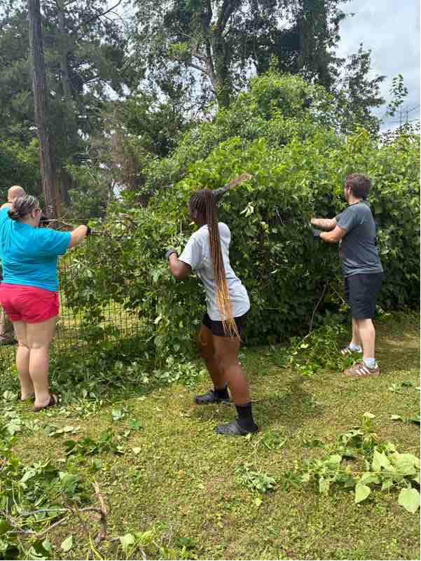 SSHSHawks's tweet photo. 🌱 Something exciting is growing at South Side High School!
Stay tuned as we share updates on this exciting project and watch our campus—and our students—grow together! 💙🌿 #SouthSideHawks #HawkNation #NavyJROTC #ProjectBasedLearning #CampusBeautification #GrowingTogether https://t.co/PDoyQ5uK9g