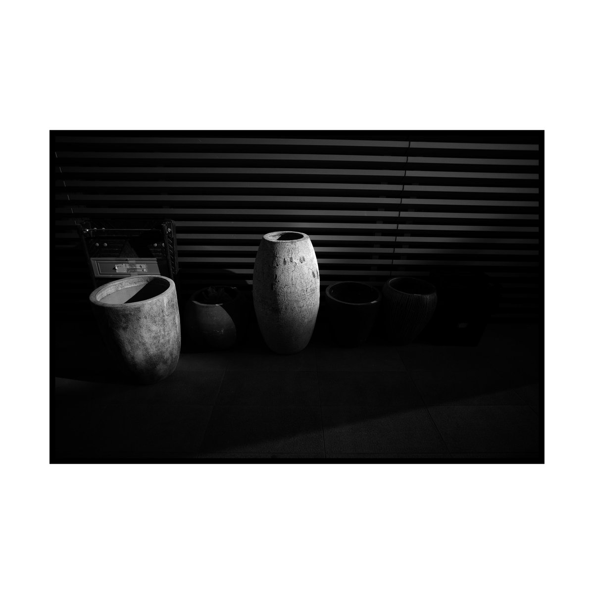 Weboshi_M240's tweet photo. Leica M typ240
COLOR SKOPAR 21mm f4 https://t.co/BqIfkIqMx8