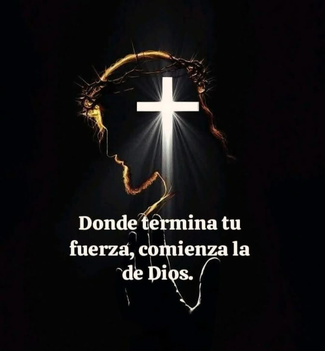 EvelinPlacidoAl's tweet photo. @batistajose55 @MVirginiaSegura @donmarcelino0 @donchanlatte @marianaalmonte @juansanjurjo6 @FrancisMVargasT @elviejomode @ThelmoLozano1 @olgacabrera6 @DelisHerasme @leonriveraalva1 @ceciliamatosb @RamnRosario9 @JennyRogers1310 @PadreOng @MariaElena1760 @Adonaidamedina @rosaalinah Buenos días Sandy, bendiciones tú familia, mi amiga la #Matricula, te exonero de las Suculentas! Ya viene el " Padre" 🤣🤣🤣, esperemos, no los 🎁🧦👕👔☕ temprano. Abrazo amigo. https://t.co/kHsrUTYTyo