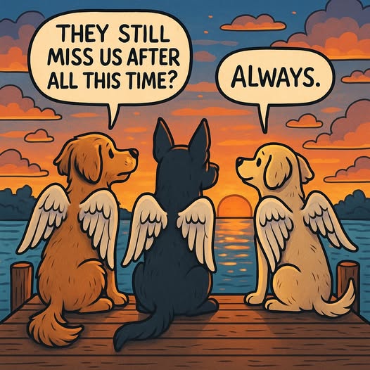 DogLovers03's tweet photo. Always and forever ❤️ https://t.co/oTsHK4CQK7