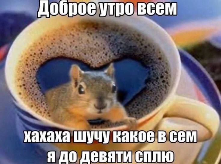 rgnameim's tweet photo. @maple_tic @seekeraulm @Nat_needle @TheLittle_Evil @meouwerr @ravi0lin1 @Eye_0f_St0rm @Wila1144067 @so_aken_ единственное что я знаю, это что психодел продолжается
#JusticeForValko #BringBackValko https://t.co/6Hlhs6tBWu