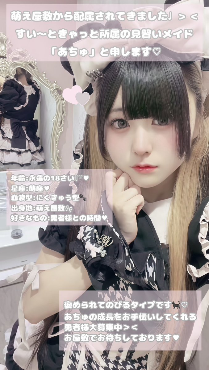 SC_achu's tweet photo. はじめまして、勇者様.⋆♱
見つけてくださりありがとうございます♡

すい〜ときゃっとでお給仕させていただきます♥見習い��ゃんこメイドの｢あちゅ｣です＞＜

ひみつのお屋敷 すい〜ときゃっとでご帰宅お待ちしております♥

#すい〜ときゃっと
#メイドカフェ
#コンカフェ
#秋葉原 https://t.co/0R93Dja6E3