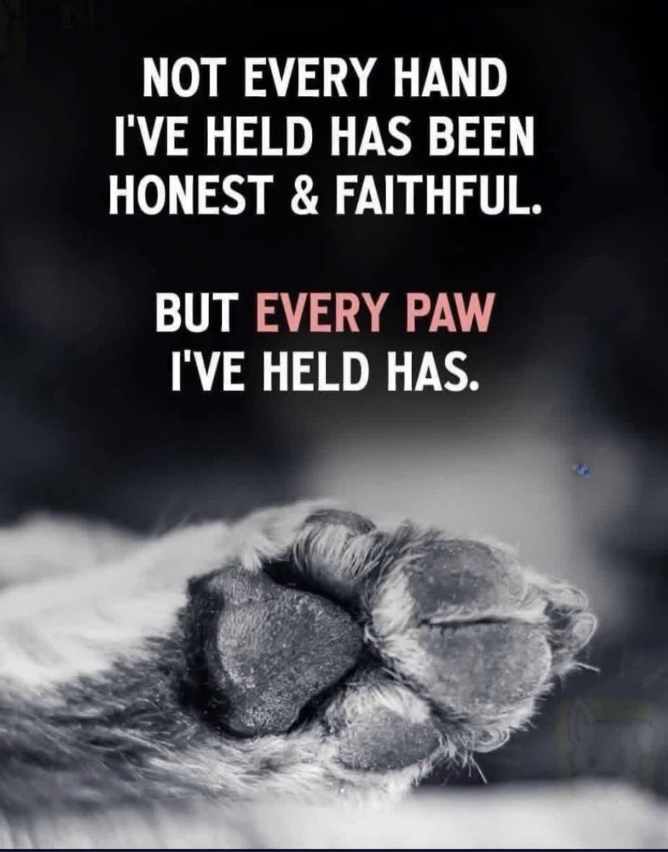 _XDogs's tweet photo. https://t.co/EHtZmzaWm2