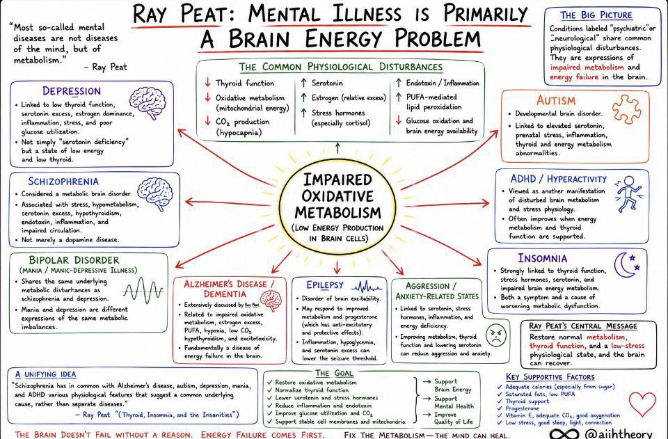 aihtheory's tweet photo. Peat’s view of health and disease distilled into one simple framework:
These four one-pagers summarize that — from the causes of chronic disease to the principles of healing.
#RayPeat #GilbertLing #Bioenergetics https://t.co/pTz9tz5nLG