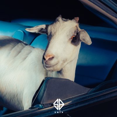 esbi_popbase's tweet photo. LOOK: SB19 has officially changed their profile picture across all social media accounts as they tease new GOATED era. https://t.co/QYDPH0RH6G