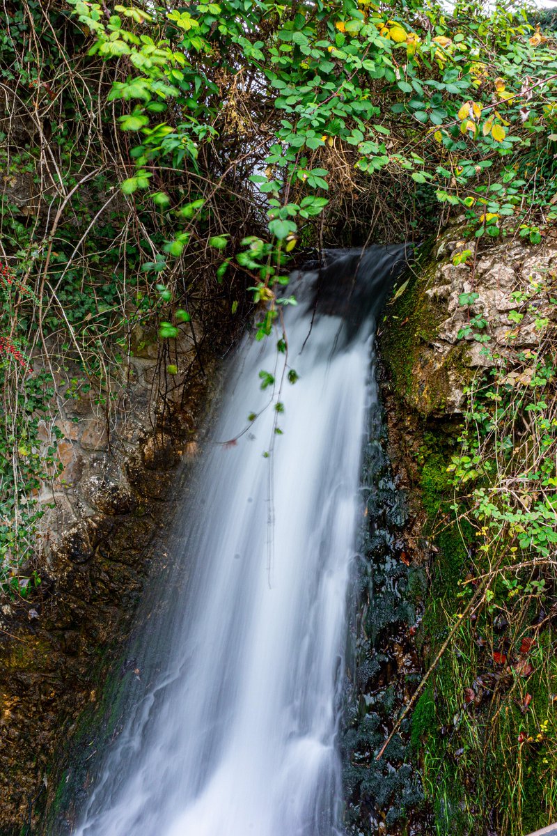 jean_legaulois's tweet photo. Le souffle limpide de la terre,
Entre ronces et rochers,
L'eau vive, âme de nos paysages,
Tisse la vie en cascade.
Un secret vert au cœur du relief,
À préserver, intact, pour demain
#chute #Rhin #fleuve #rheinfall #suisse #nature #balade #rando #photo #photographie #artistique https://t.co/5tZKMjZP3O