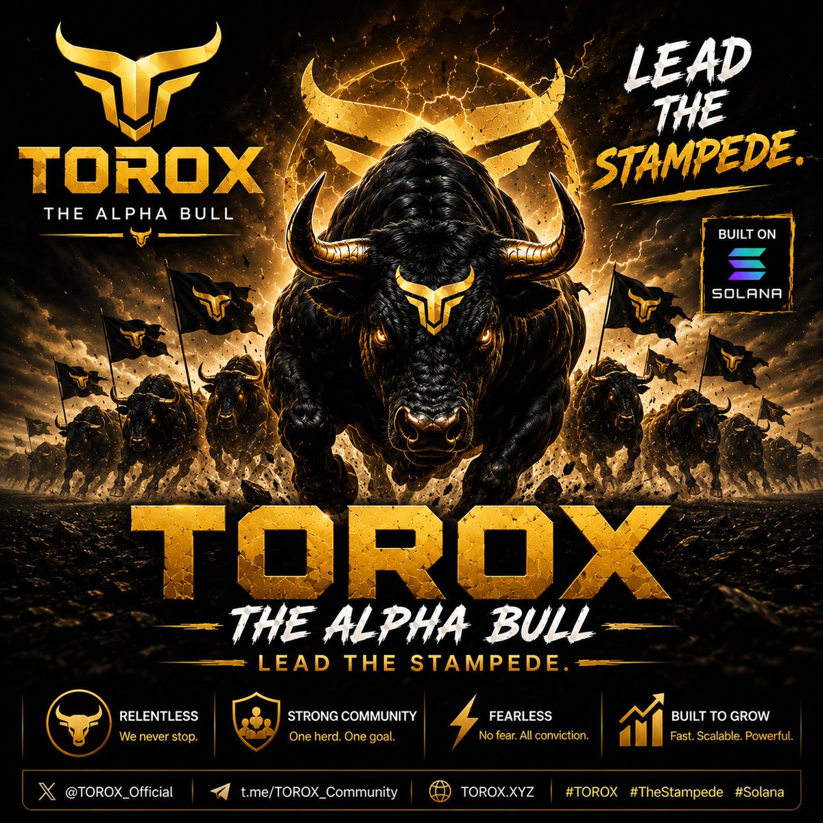 Toroxfun tweet media