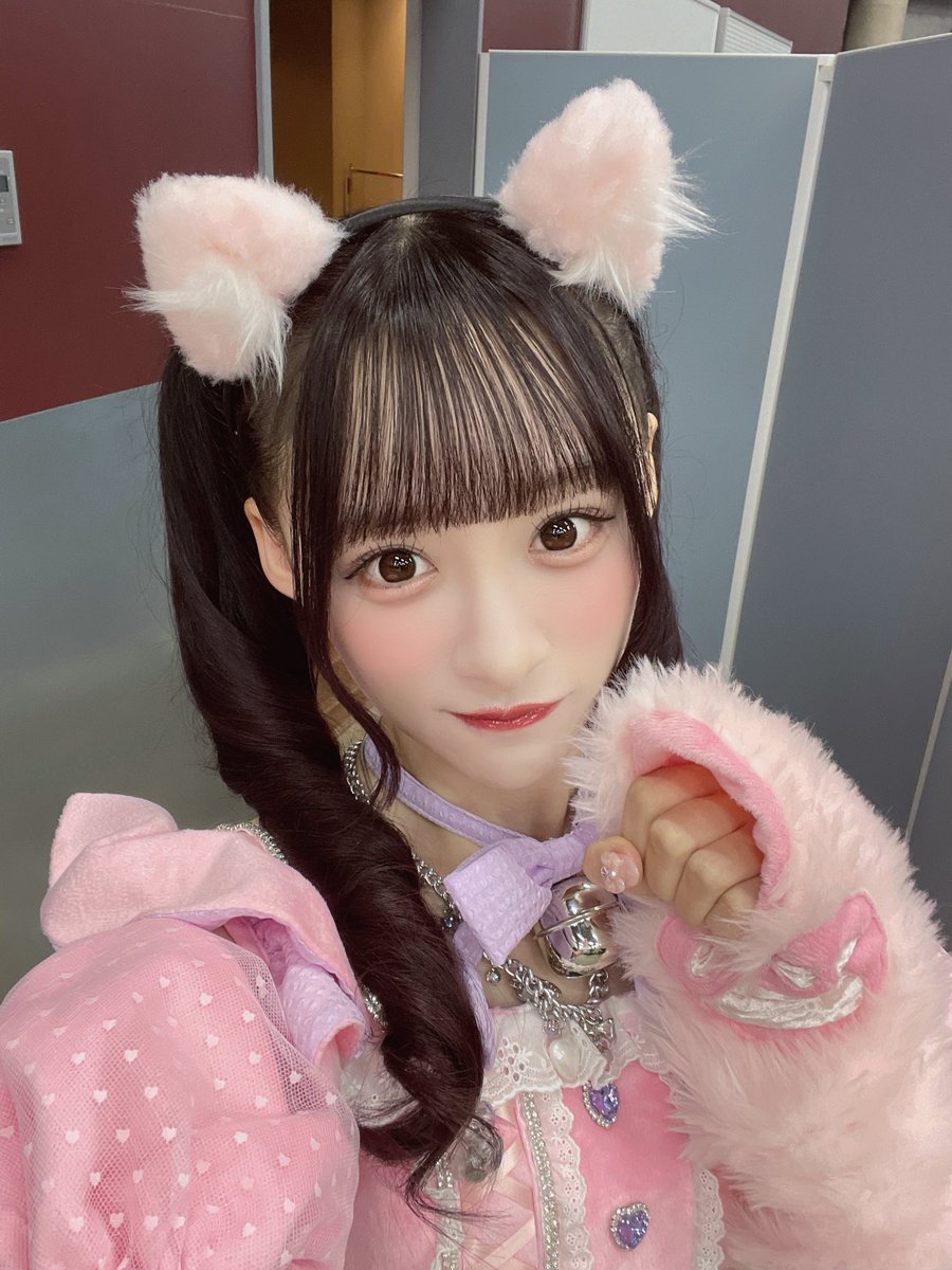 otoshima_risa's tweet photo. 猫ちゃんぬいの受注販売
今日までだよ〜🐈
お迎えしてにゃ♡ https://t.co/VZvXqu1BPp