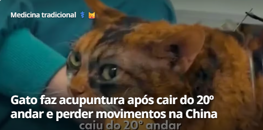 homemConcha's tweet photo. Esta semana na China: chuvas extremas provocadas pela tempestade Maysak romperam parte do reservatório Liulan, causaram enchentes violentas, dezenas de milhares de pessoas foram evacuadas e houve mortes. A nossa imprensa : https://t.co/nhdpsHnPFc