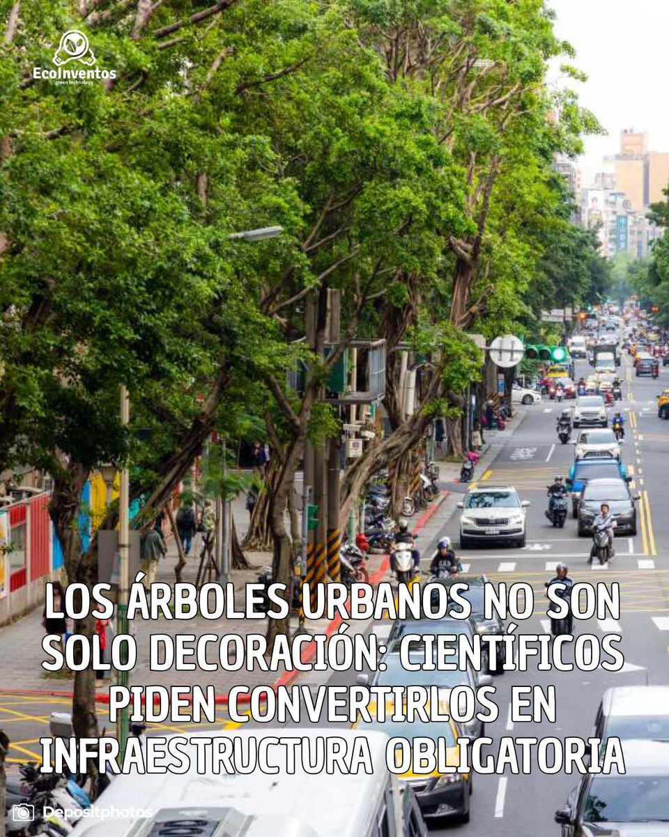 EcoInventos's tweet photo. Los árboles urbanos no son solo decoración: científicos piden convertirlos en infraestructura obligatoria.

https://t.co/bn6IA1Qhjc https://t.co/gAyeYK4hft