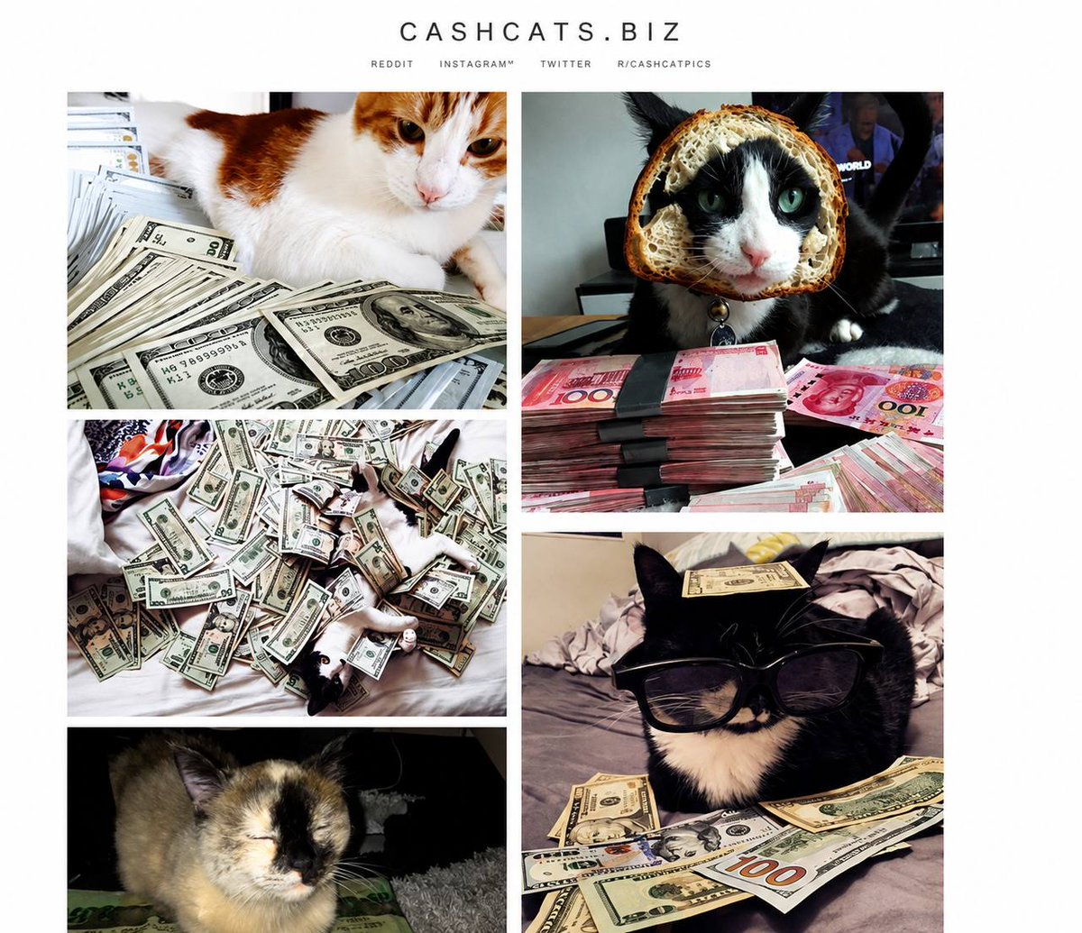 codycapitalist's tweet photo. This is a very big lore for $cashcat reaching ATH etc. 

Vlad Tenev got the inspiration for the name 
CashCat from a site called https://t.co/UOt1VZhC91 or https://t.co/bpWPTyXaGX

The founders once considered naming the app CashCat, after https://t.co/UOt1VZhC91, a site that showed felines lounging among stacks of $100 bills.

Their socials have a lot of followers everywhere. https://t.co/UOt1VZhC91 is like a big OG cult of cats with cash photos. 

https://t.co/hEGFu6MMcg:~

0xd2b86e25ddf154ae34cce0c602af0b373f9a09af