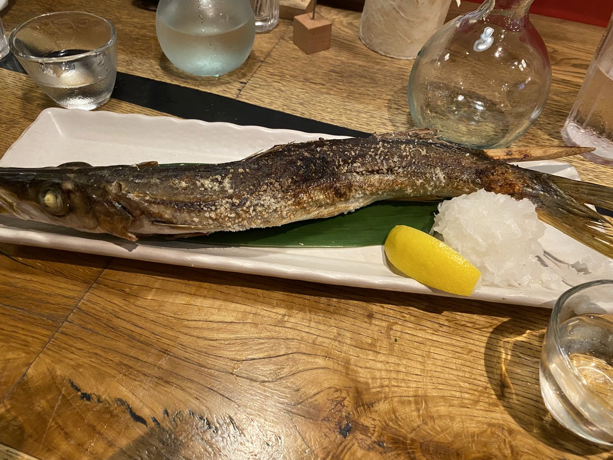 Yamato40k's tweet photo. カマス！ https://t.co/hBAoMRXxYf