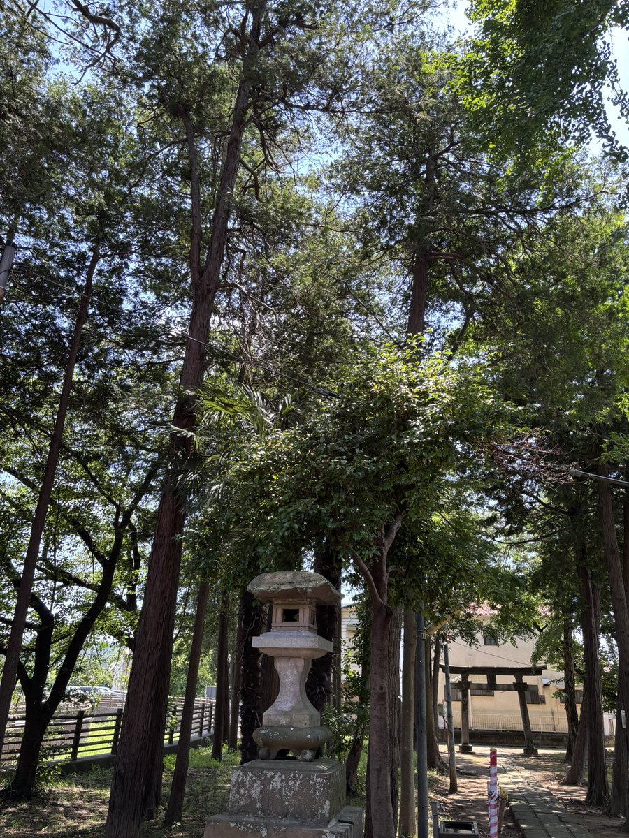 jinxnow's tweet photo. 暑くなって来ました。
それでも神社の境内⛩️って不思議と涼しい。 https://t.co/GnrNdpdW2D