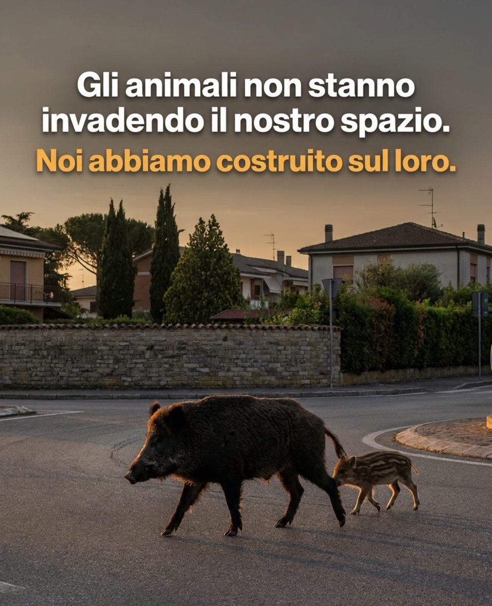 giovannabottani's tweet photo. Eh già https://t.co/bQT8kSoIMw