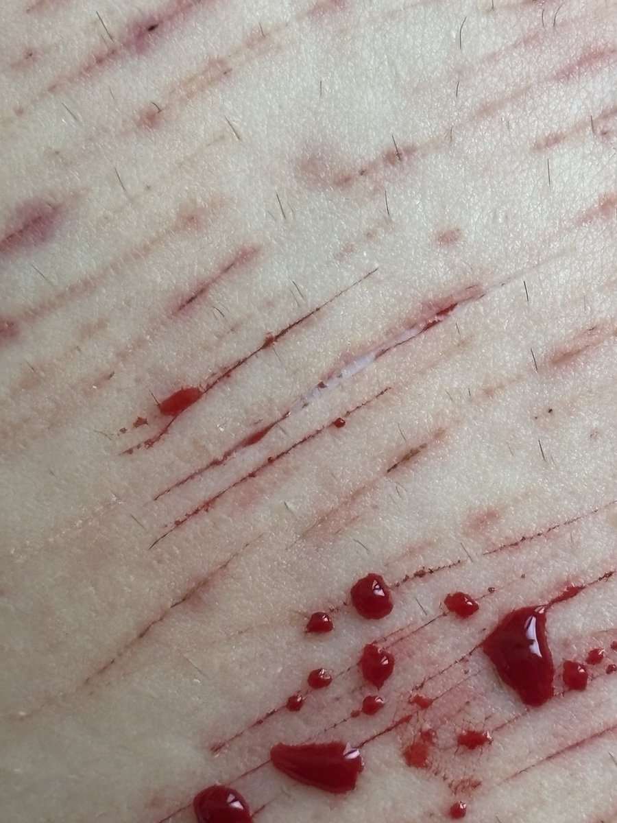 nathedtw's tweet photo. styro 😣 i cant go deep but i gotta keeo the content coming☹️☹️☹️☹️ #shtwt #slittwt #styro https://t.co/2619A0jKSs