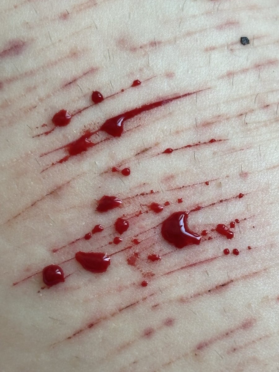 nathedtw's tweet photo. styro 😣 i cant go deep but i gotta keeo the content coming☹️☹️☹️☹️ #shtwt #slittwt #styro https://t.co/2619A0jKSs