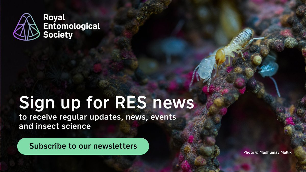 Royal Entomological Society tweet media