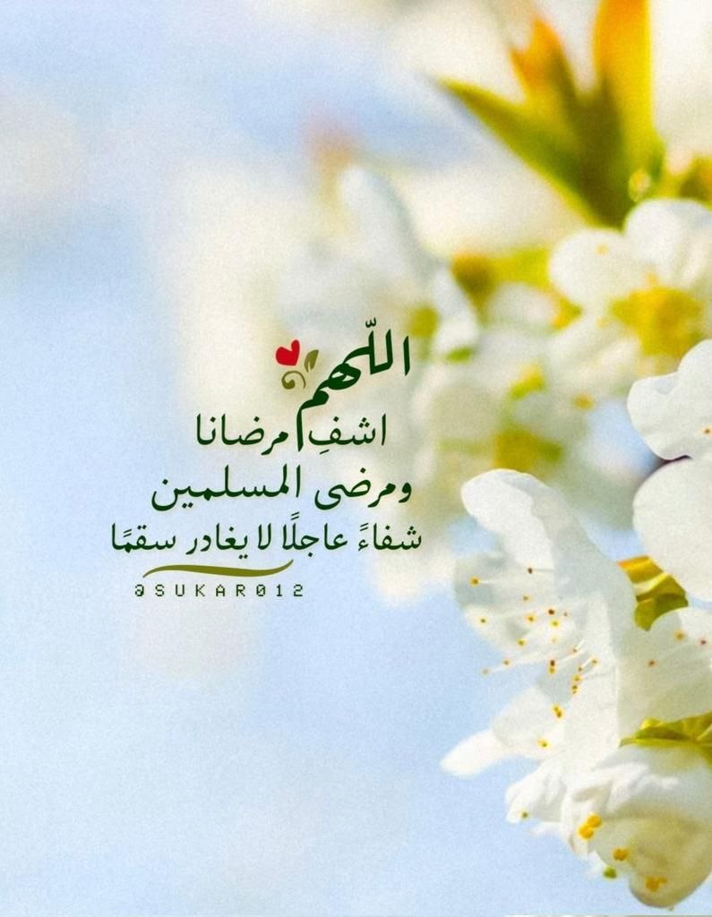 shaimaAlZamel's tweet photo. ﴿ وَما كانَ اللهُ لِيُعجِزَهُ مِن شَيءٍ ﴾

اللهم لا تحرم كل مريض لذة العافية .. 
اللهم لُطفك الذي تنحل به العُقد .. 
اللهُم يا منزل الشفَاء ورافع البلاء ويا مُجيب الدعاء يا مَن تُعيد للمَريض صِحته ويا مَن تستجيب دُعاء البائس 
اللهُم اشْفي مرضانا ومرضى المسلمين 
#يوم_الجمعة https://t.co/1lGGVNtBbh