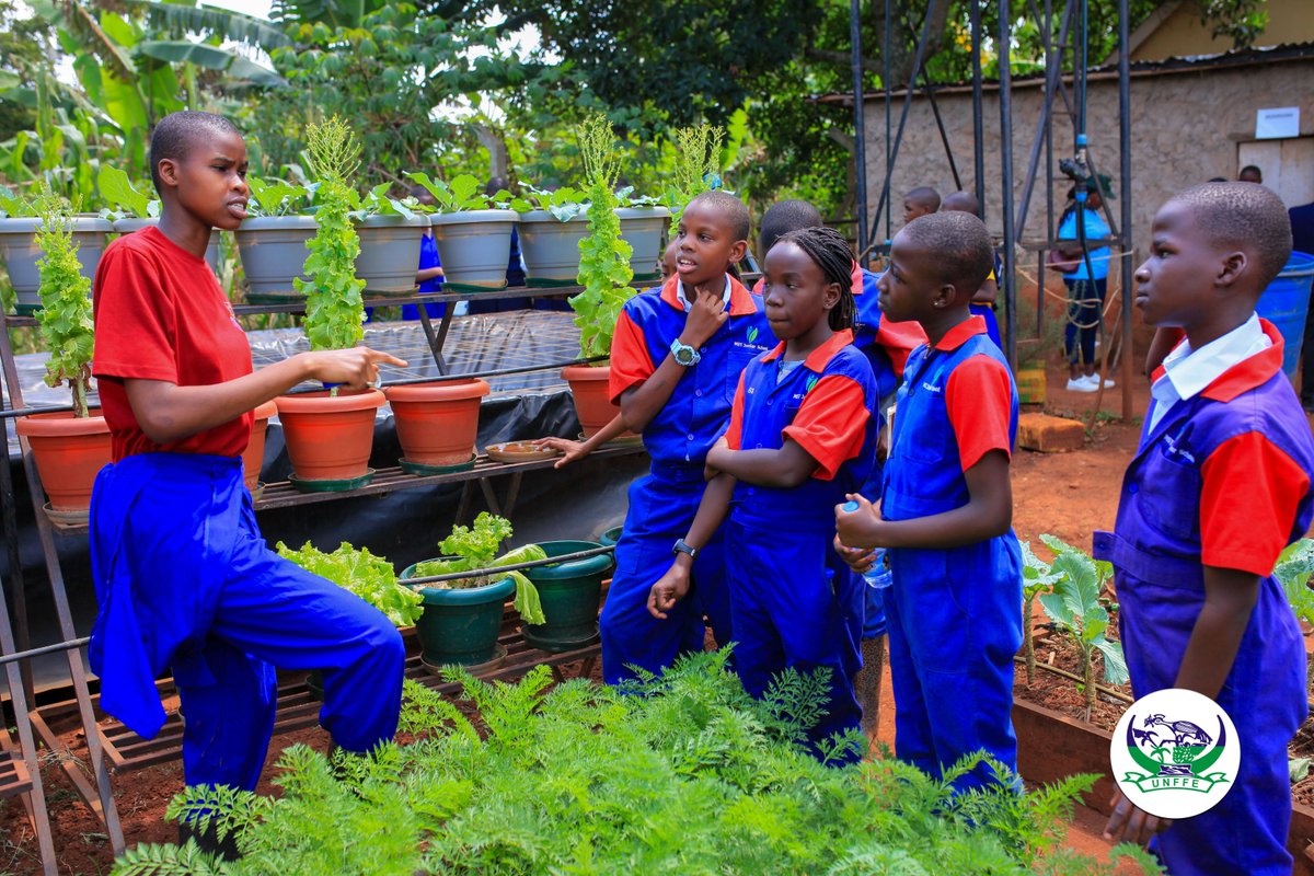FDTVmedia's tweet photo. Greater investment in climate-smart agriculture, resilient crop varieties &amp; sustainable value chains to safeguard Uganda's food sectors. @unffe is doing much with @MAAIF_Uganda in jinja for school students #AgricEducShow2026 do not miss out 
Entrance is 5k https://t.co/Nrj2k17hhk