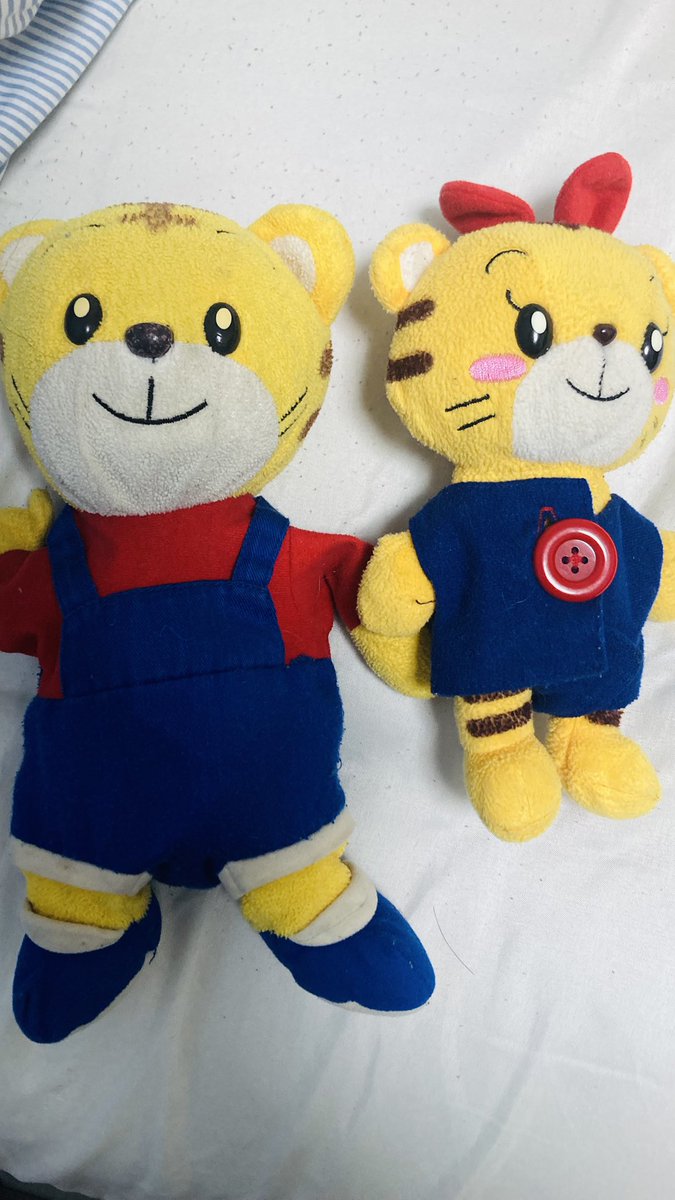 kwhcch's tweet photo. しまじろうずっと見えるところに飾ってあるこれからも見守ってもらう https://t.co/934mFEnfVH