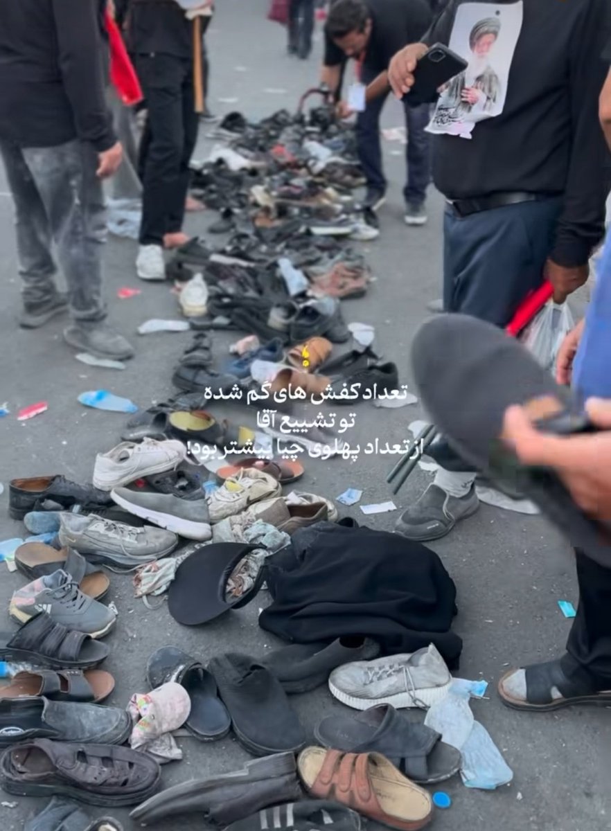 از تبار زاگرس🌳 tweet media