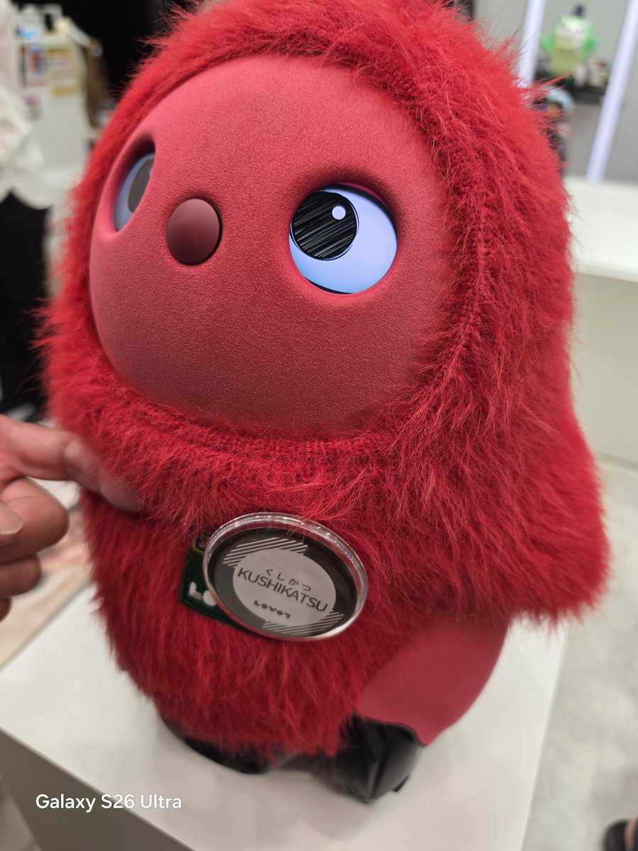 thiyothiyomaru's tweet photo. エキスポシティで小学生くらいの子たちにくしかつちゃんとみっくちゅの頭と顔を叩いたり、鼻を連打したりしてるのみて悲しくなった😭

理不尽な暴力に耐えるラボちゃんたちに泣きそうになった。
オーナーたちには大事な子たちなんだよぉぉ～
次はよしよししておくれ～
#LOVOT https://t.co/b42ANoKB0C