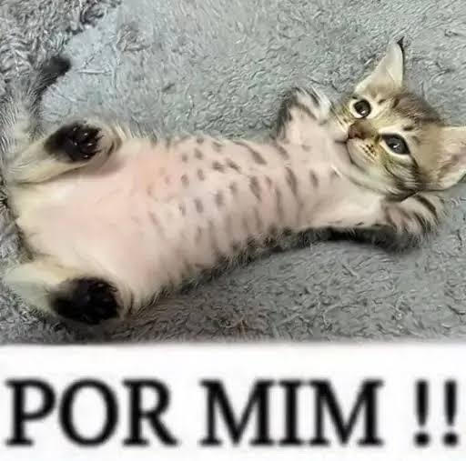bloodgv_'s tweet photo. Todo mundo ontem falando da briga e eu não vi nada então to exatamente assim https://t.co/2COOThAxqy