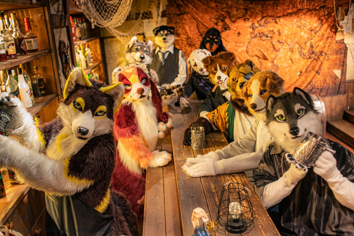 shippocrafts_jp's tweet photo. いらっしゃい！ BAR shippocraftsへ！

 #FursuitFryday
 #shippocrafts
 #ケモノフォーカス https://t.co/4nQxD8dDry