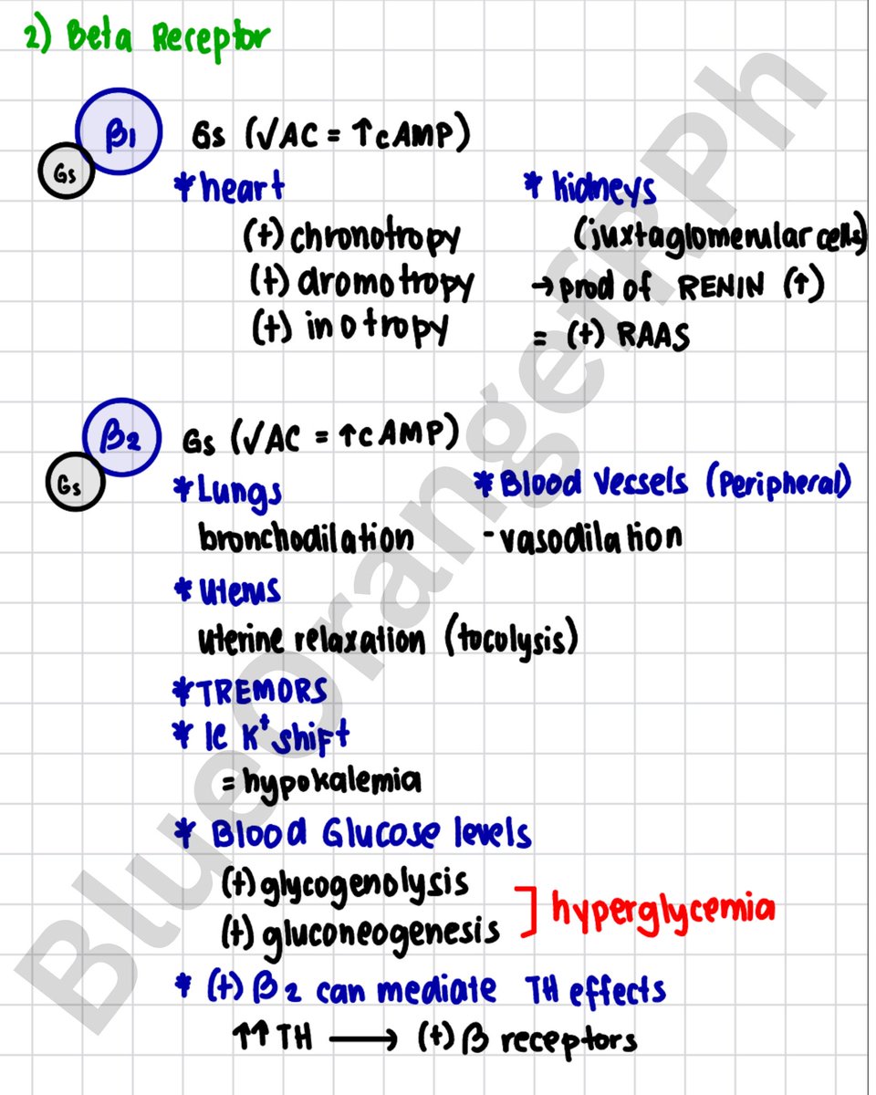 BlueOrangefRPh's tweet photo. MOD 4: Different Adrenergic and Cholinergic Receptors including their G Protein, Location and Response… Stay Dry fRPh/s ♥️
#pharmatwt #fRPh #fRPh2026 #PhLE #PhLE2026 #Pharmacy #Pharmacology https://t.co/Qr11sC5RTL