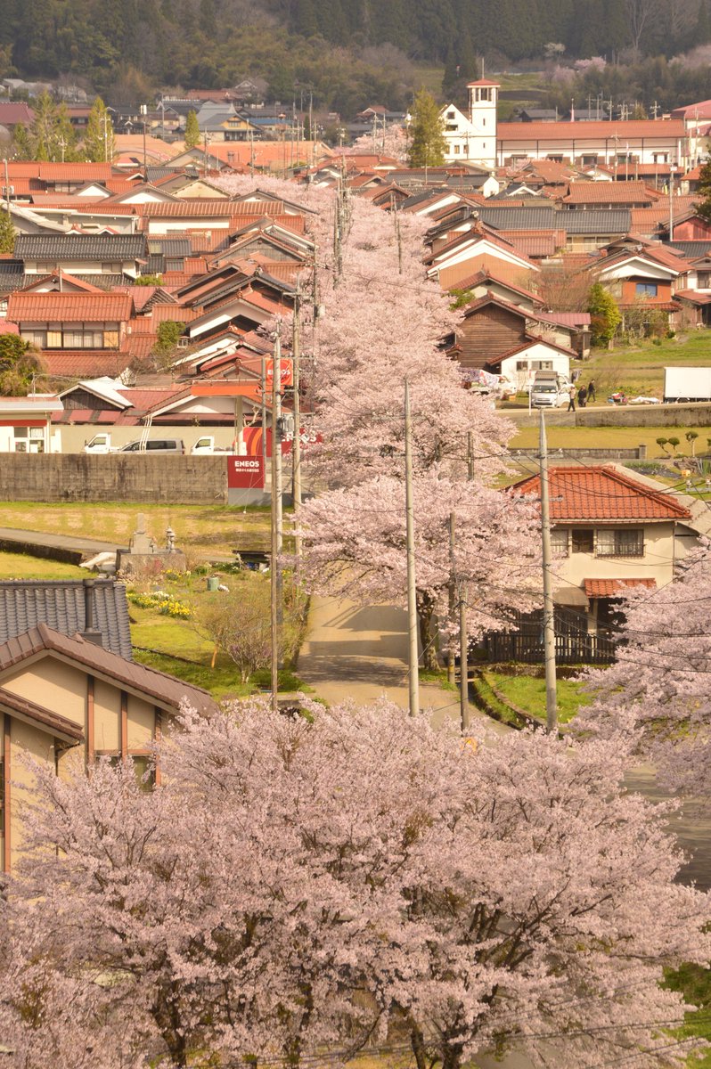 takepp4xx's tweet photo. 雲の影の明暗を狙ってましたがあまりならなかった(；^∀^)
そして車で美甘の方へ移動🚗 https://t.co/pq4x6v0zmD