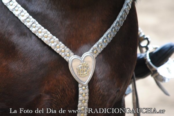 tradiciongaucha's tweet photo. 📸 #FotoDelDía #Pretal #Tradición 
https://t.co/JAtNwCT7Na https://t.co/6N30UhZpML