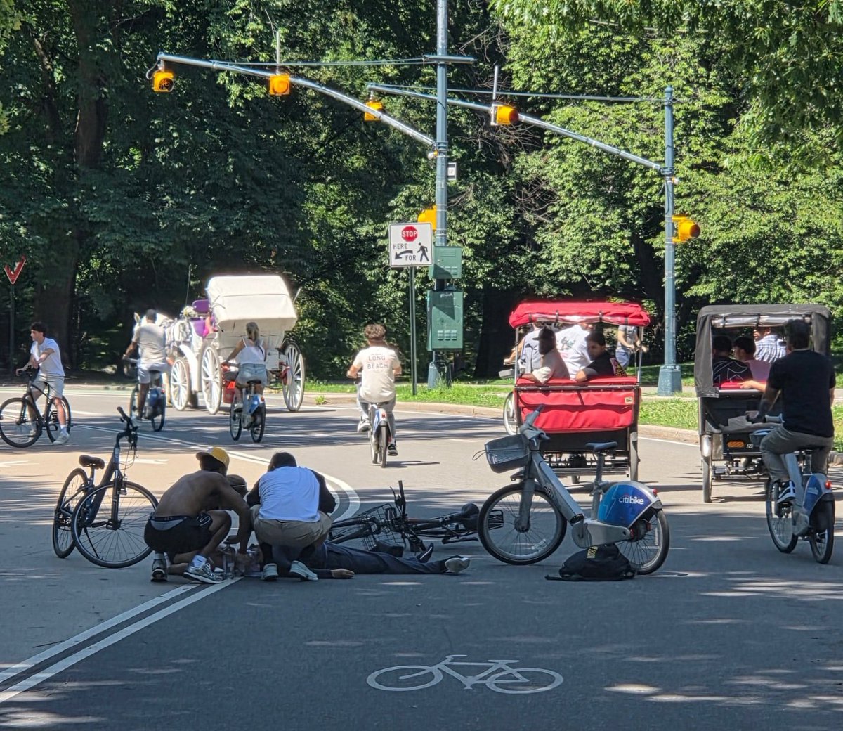 AFineBlogger's tweet photo. Just one of the crashes in @CentralPark_NYC this week that required hospitalization. Where is the Conservancy to call THIS out? This is a regular occurrence. They have made the LESS safe for all users, especially those with disabilities, a clear ADA violation! @nicolegelinas https://t.co/q5xJcQtqes